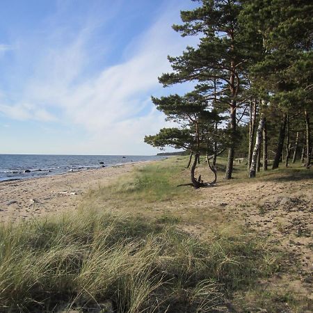 Tahkuna Forest House Korgessaare Экстерьер фото